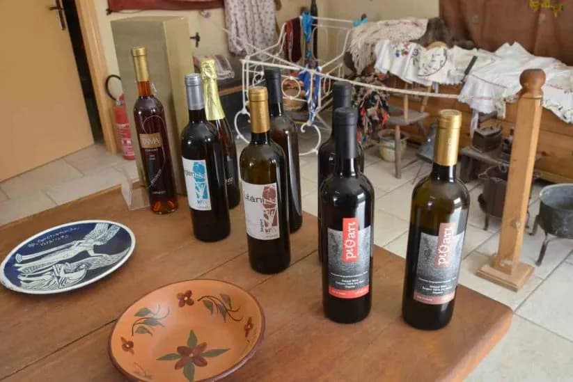 Wino z Ikarii: Gdzie kupić? Sprawdzone tropy i alternatywy