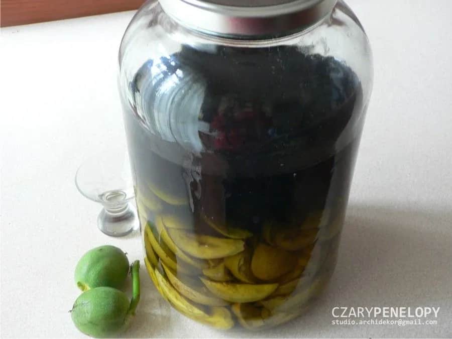 Kiedy zbierać zielone orzechy na nalewkę? Idealny termin