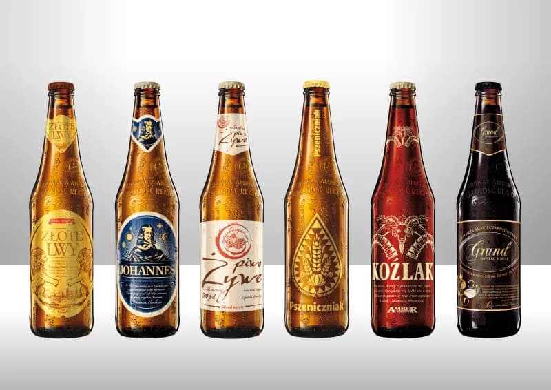 Gdzie kupić piwo żywe? Sklepy, marki i porady