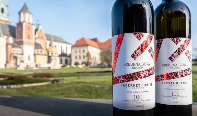 Gdzie kupić wino Srebrna Góra? Sprawdź sklepy i ceny
