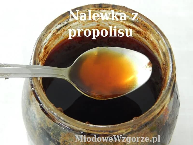 Nalewka z propolisu: Na co pomaga? Zastosowanie i dawkowanie