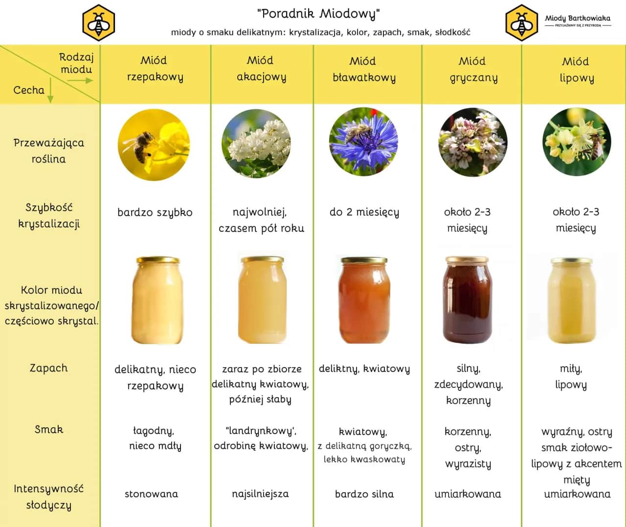 Jaki miód do nalewki? Wybierz idealny smak!