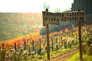 wina włoskie organiczne - Piwnica Cabanon