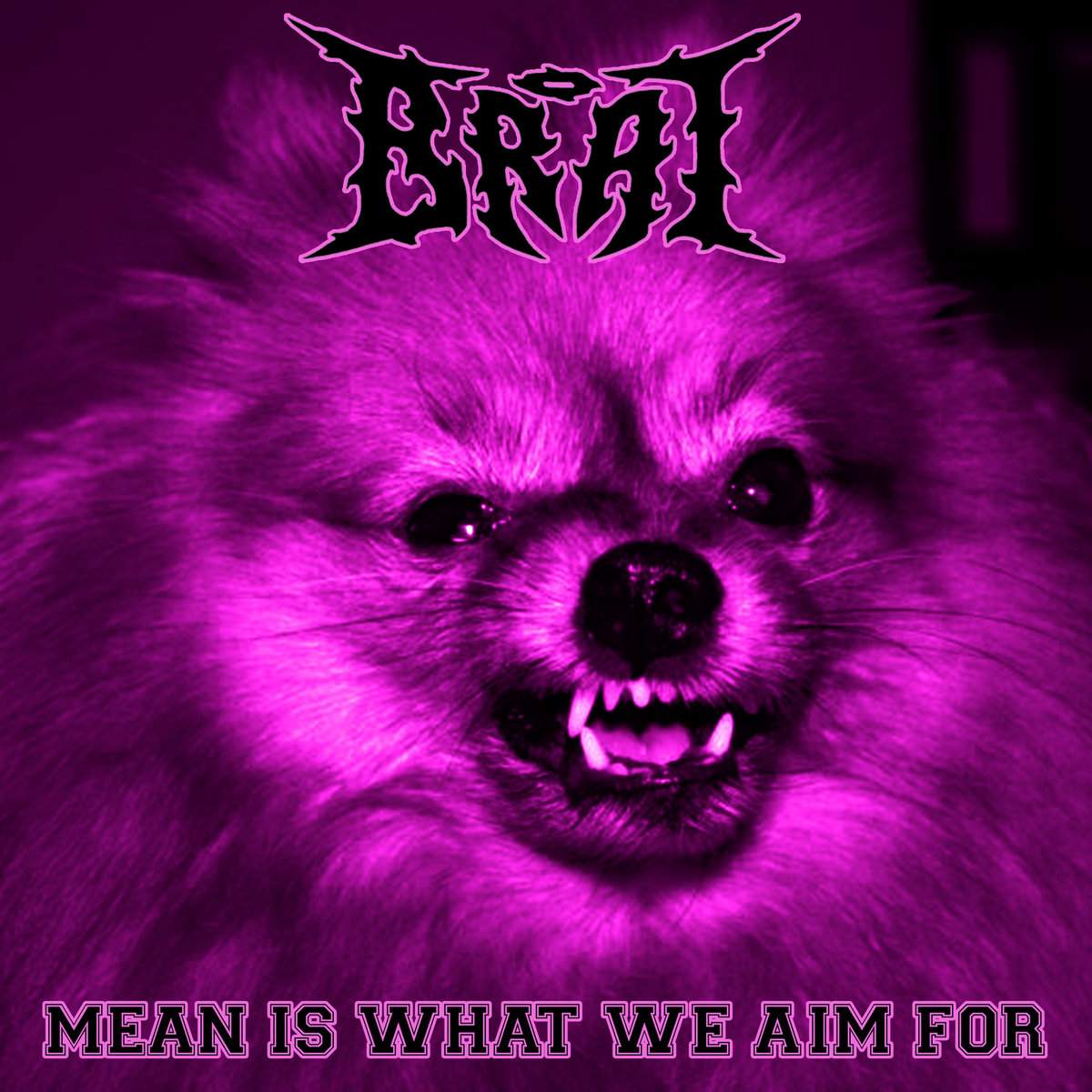 BRAT "Mean Is What We Aim For" - recenzja płyty na blogu o muzyce metalowej